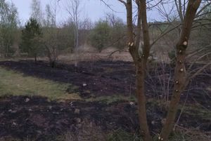 Rzucił niedopałek na łąkę, co spowodowało zagrożenie pożarowe