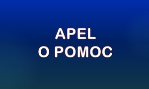 Pomóżmy naszym Koleżankom, które straciły dach nad głową w pożarze w Ząbkach