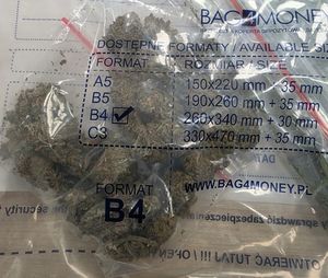 Policjanci z Nowogrodźca zatrzymali mężczyznę, który w swoim domu posiadał narkotyki