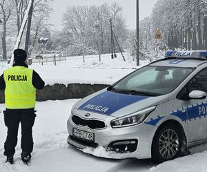 Działania służb w ramach ogólnokrajowej operacji „TOR”