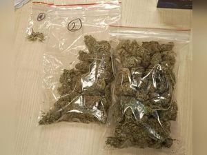 Zatrzymany 24-latek usłyszał zarzuty dotyczące sprzedaży i posiadania marihuany