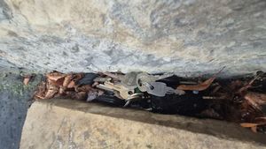 Policjanci zatrzymali czterech mężczyzn do sprawy kradzieży z włamaniem. Sprawców zgubiła pazerność jednego z nich…