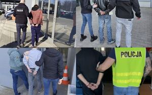 Kolaż 4 zdjęć, policjanci prowadzący osoby zatrzymane.