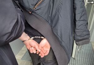 Poszukiwany listem gończym zatrzymany przez bolesławieckich policjantów na terenie województwa śląskiego