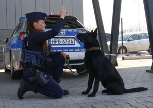 Myślisz o przyszłości? Zostań policjantem – przyjdź na dzień otwarty!