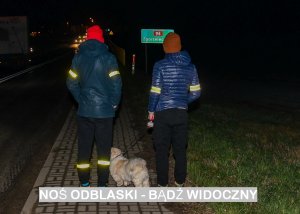Na zdjęciu widać dwie osoby z psem na myczy, na rękach i nogach widoczne są elementy odblaskowe